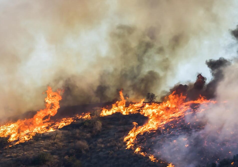 How lawsuits and natural disasters drove PG&E to Chapter 11