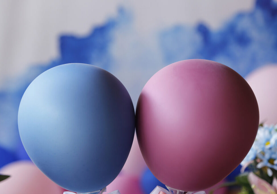 Who Is Liable For Injuries Sustained at a Gender Reveal Party?
