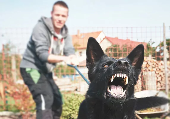 Man trying to hold back barking dog on a leash